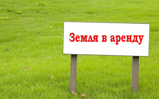 Предоставления в аренду земельных участков