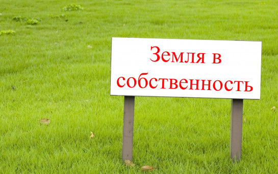 Предоставление в собственность земельного участка