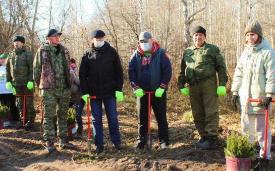 40 000 елей высадили в Мошковском районе за 2 дня